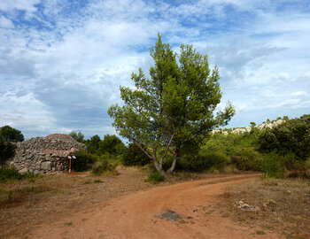 LES CAPITELLES